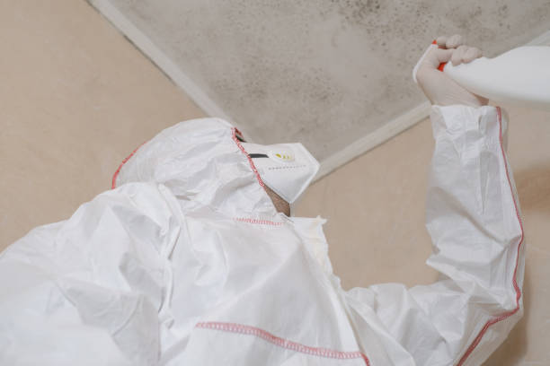 Best Same-Day Mold Removal  in Oak Park, CA