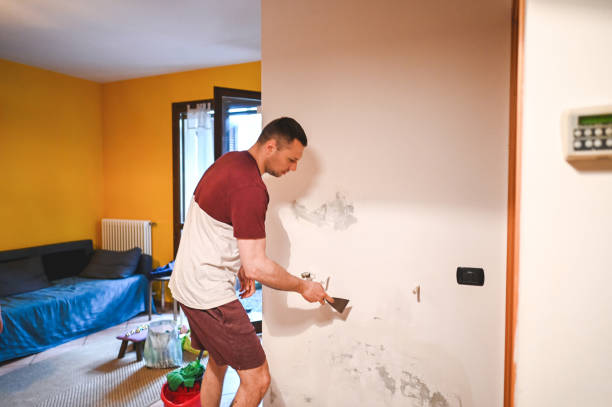Best Mold Testing  in Oak Park, CA